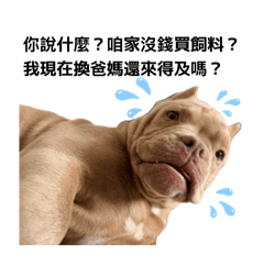 萌犬惡霸