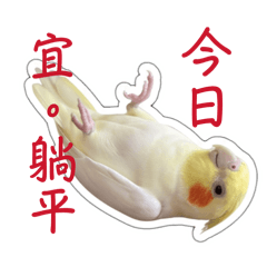 吉利福黑白講