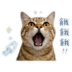 韓凌霄日常2