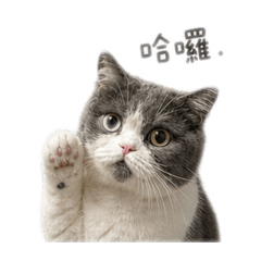 湯圓圓～