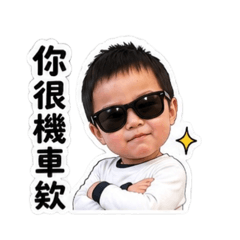 小虎寶特輯