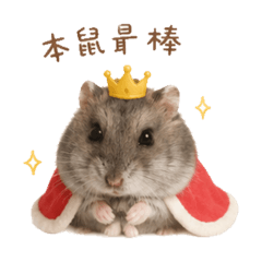 帥哥地瓜球