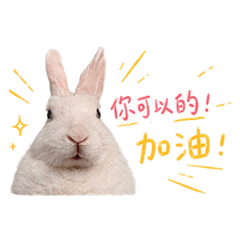 #我是兔兔
