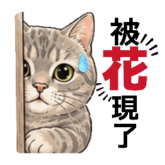 你好*我叫鐵支。