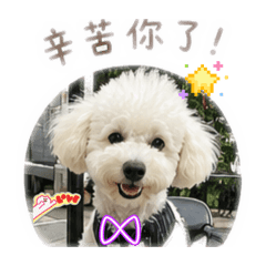 酷比go go生活用語2