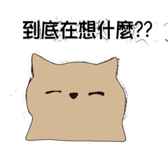常日喵喵