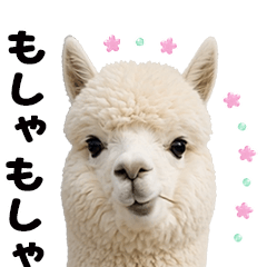Moves! Alpaca