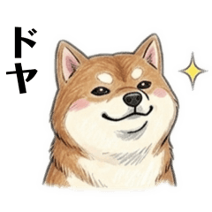 That's So Shiba!2