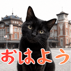 小花達的日常與關東在地話２（日文）