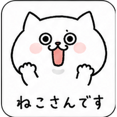Neko-san Is Here!