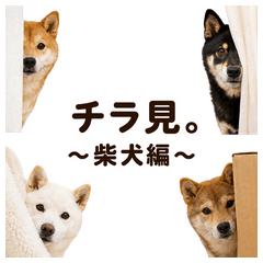 Peeking Shiba Inu Stickers