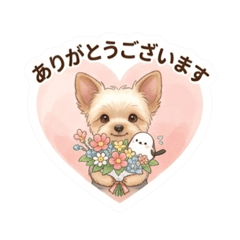 Everyday Yorkie & Long-Tailed Tit