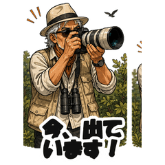 Gentleman Bird Photographer Reports