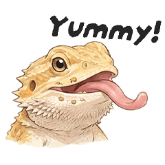 かわいいフトアゴヒゲトカゲさん