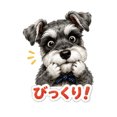 Everyday Schnauzer Life (Everyday Use)
