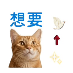 林薯餅