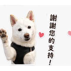 李樂樂（日常）