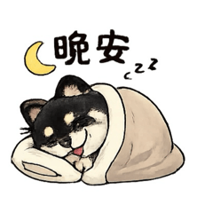 加油露露
