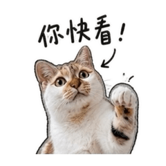 叫我摸扣