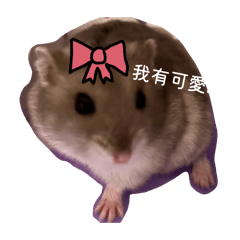 張飯糰愛吃蟲蟲