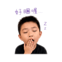 Max寶寶2026