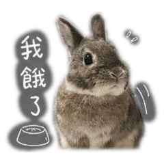 焦糖ㄇㄨㄚˇ吉2.0