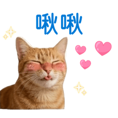 薯小餅