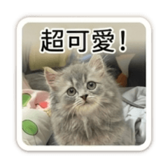 大聲公芋圓