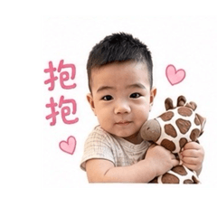 豆柴日常2-阿柴柴