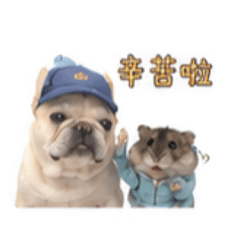 法鬥荳哥與三線鼠鼠餅的奇遇