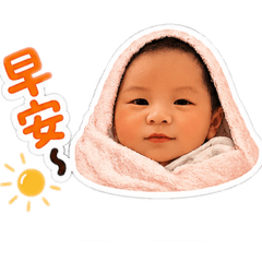 椰主寶寶
