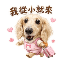 臘腸狗豆豆78♡關於我♡