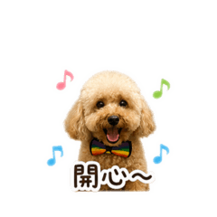 Lucky_20260520085957