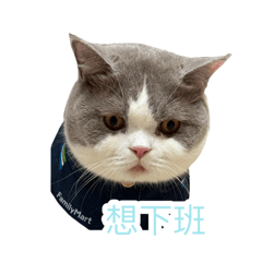 我是姆明4