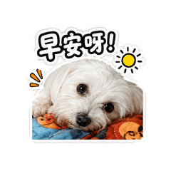 終究只剩下一人/赴宇尋寧#94919-9001082568