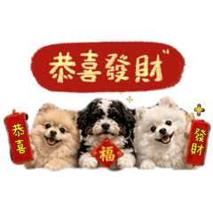 徐家三寶們