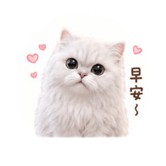 胖胖在幹啥Part.1