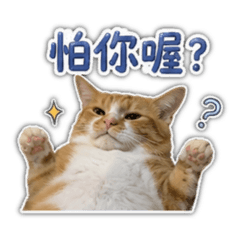 酸呀的日常貼圖