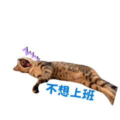 豆花倒灰