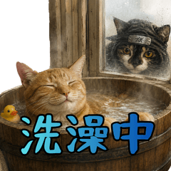 小花達的忍者貓日常貼圖（中文）
