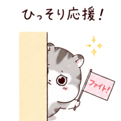Shy Hamster Chirarin