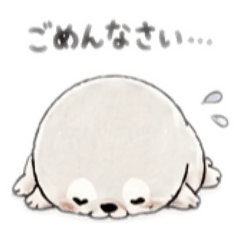 Tired seal