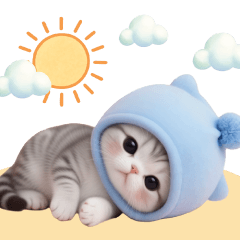 cute cat blue nit summer BIG