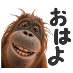 Berrycute animals