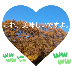 公園集合、チルくてエモい。日常挨拶