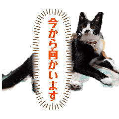 padayama_20260627181746