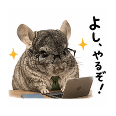能干的龙猫安迪