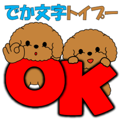 Pop-up! Toy Poodle with Big Text