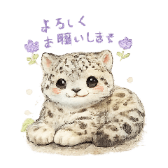 momomu_20260627233524