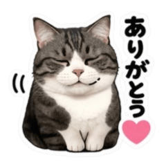 Kawaii Cat Stickers8